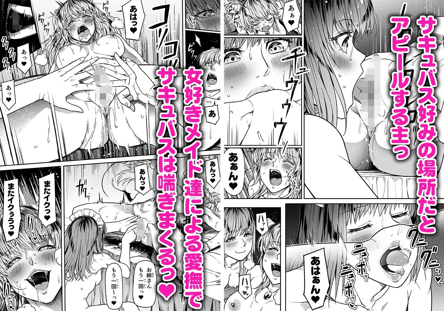 力あるサキュバスは性欲を満たしたいだけ 12 画像9