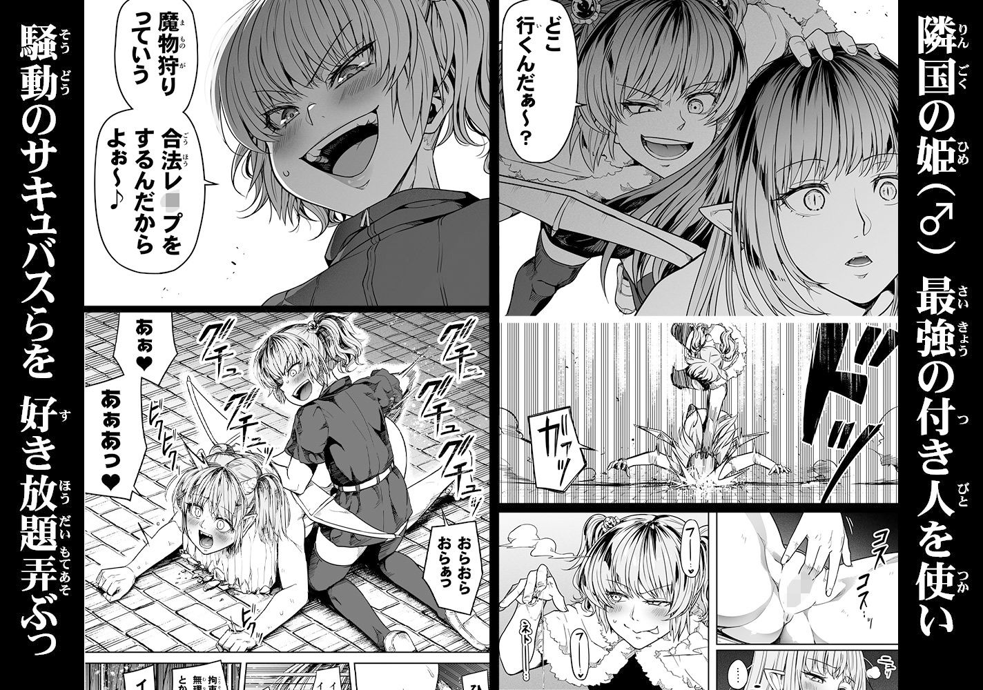 力あるサキュバスは性欲を満たしたいだけ 13 画像1
