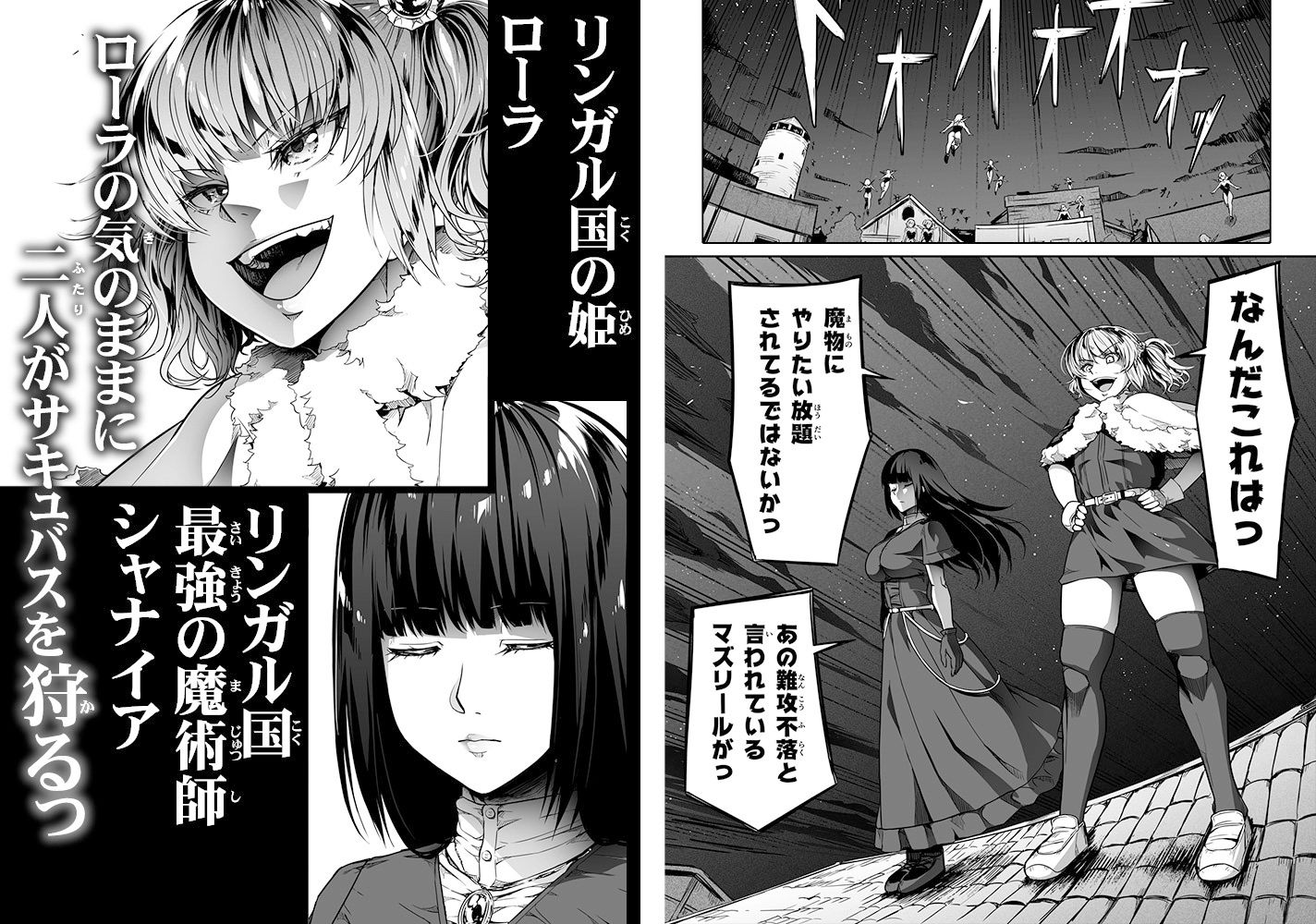 力あるサキュバスは性欲を満たしたいだけ 13 画像5