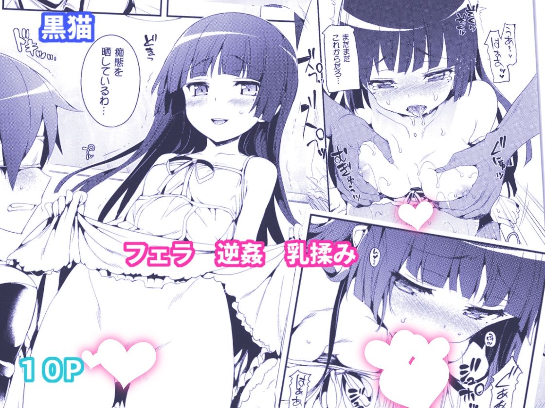 ねこはまんまがうつくしい 最初のまとめ本 画像1